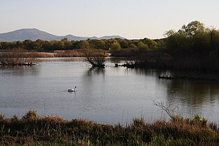 Lac d'Alviano.