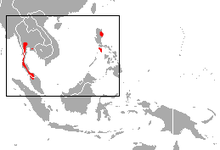 Asia besar Roundleaf Kelelawar daerah.png