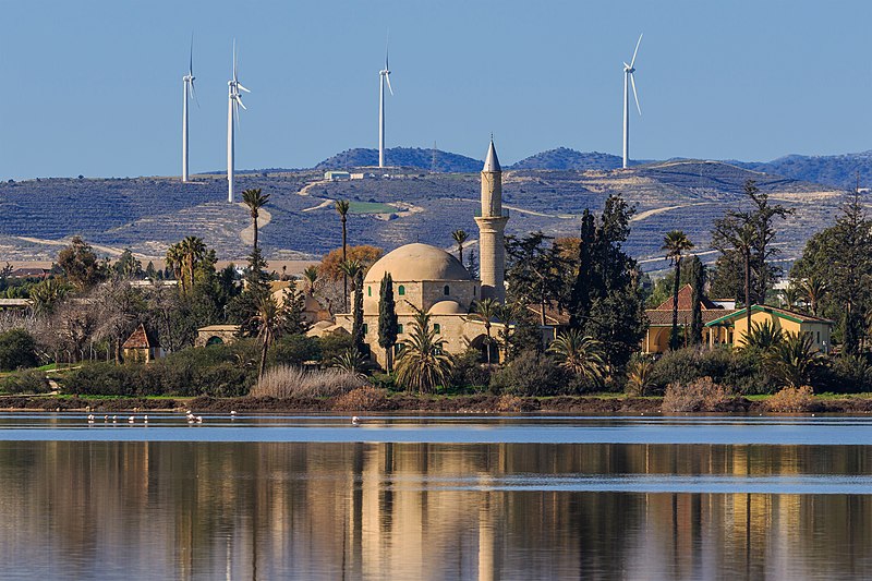 File:Larnaca 01-2017 img30 Salt Lake.jpg