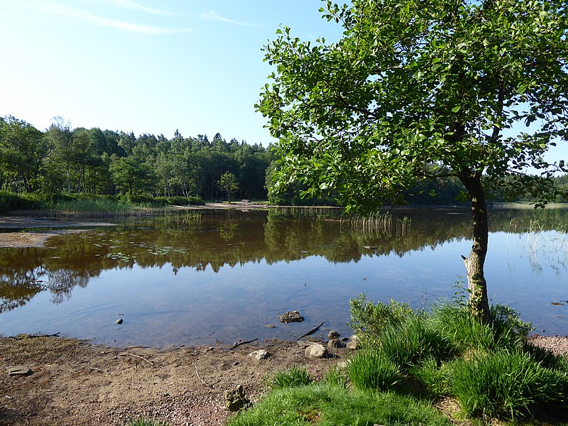 File:LillaDelsjon Vastergotland Sweden E shore 27June2020.jpg