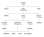 SVG-bestand