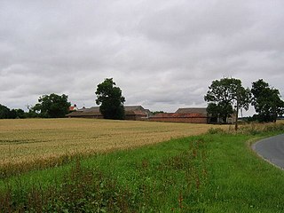 <span class="mw-page-title-main">Little Hatfield</span> Hamlet in the East Riding of Yorkshire, England