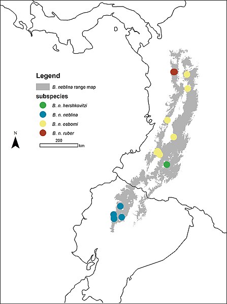 File:Localities of the four Olinguito subspecies in the Andes of Colombia and Ecuador - ZooKeys-324-001-g016.jpg