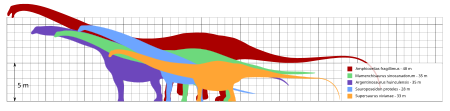 ไฟล์:Longest dinosaurs.svg