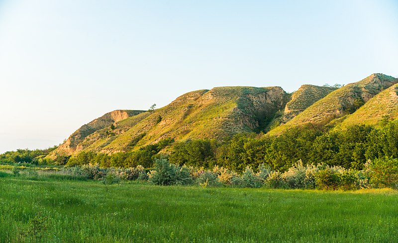 File:MD.CH - Aflorimentul de lângă Văleni - jun 2021 - 01.jpg