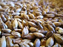 Malt - Wikipedia