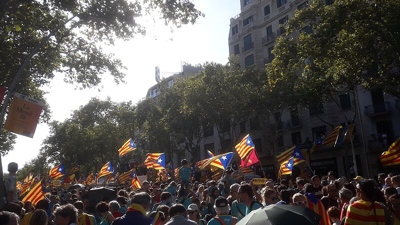 File:Manifestació de la Diada 2019 - 20190911 171849.jpg