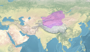 Map of the Dzungar Khanate (18th century).png