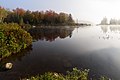* Nomination Marshfield Pond, Vermont. --King of Hearts 03:21, 16 October 2021 (UTC) * Promotion  Support Good quality -- Johann Jaritz 03:28, 16 October 2021 (UTC)