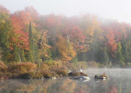 Marshfield Pond, Vermont