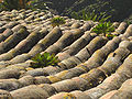 old roof in Masca