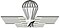 Paracaidista calificado para lanzamiento - cinta para uniforme ordinario