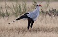 Amboseli National Park, Kenya