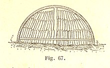 Charbon de bois — Wikipédia