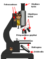 Miniatiūra antraštei: Mikroskopas