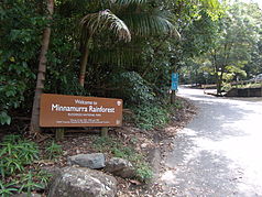 Entrance to the Minnamurra Rainforest