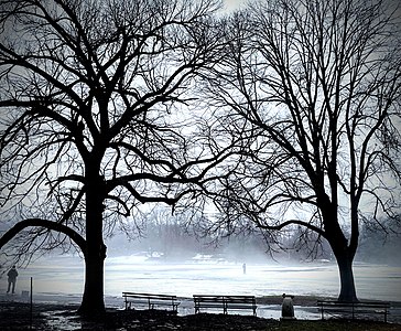 Misty snow with park benches and trees by Sgreene24