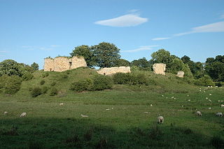 <span class="mw-page-title-main">Mitford Castle</span> Grade I listed castle in the United Kingdom