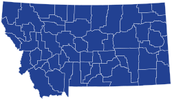 Resultaten van de Democratische presidentsverkiezingen in Montana per provincie, 2020.svg