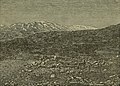 Mount Hermon, from photograph. — Image from page 101 of “A Pictorial Commentary on the Gospel According to Mark” (1881) by Edwin W. Rice).jpg