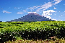 Mount Kerinci from Kayuaro.jpg