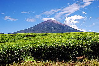 Mount Kerinci from Kayuaro.jpg