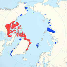Myskihärän levinneisyys, punaisella luontainen levinneisyys ja sinisellä alueet joille lajia istutettiin 1900-luvun aikana: osa istutuksista ei kuitenkaan onnistunut vaan uusi populaatio hävisi pian mm. Huippuvuorilta[1]