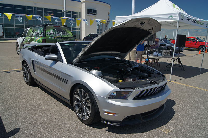 File:Mustang Round Up (14751160092).jpg