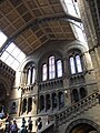 Natural History Museum, London (2014) - 1.JPG