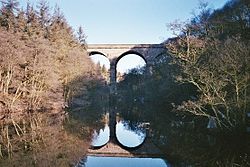 Nidd Gorge Viaduct - geograph.org.uk - 234724 (kesilgan) .jpg