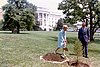 Nixons plant a tree C6311-11a.jpg
