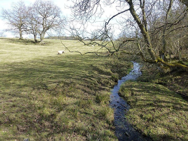 File:Nun Burn - geograph.org.uk - 4411380.jpg