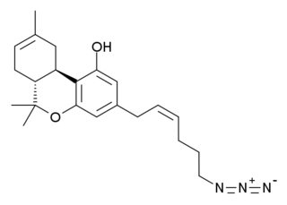 O-1238 chemical compound