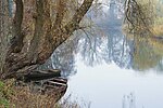 Miniatura para Río Obra