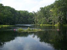 The Silver River from within the park. Ocala Silver River Park - River01.jpg