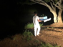 An Umbandist carrying offerings to Iemanja to a river Oferenda para Iemanja.jpg