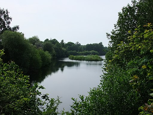 Old gravel workings at Fingringhoe Wick Nature Reserve - geograph.org.uk - 1898136