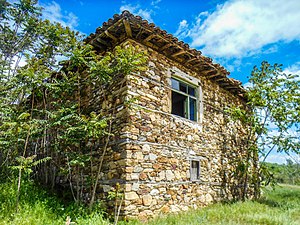 Требичино: Географија и местоположба, Историја, Стопанство