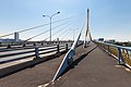 On the Rama VIII Bridge.jpg