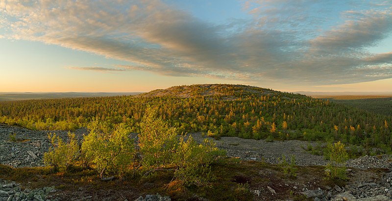 File:Oratunturi central summit from the west in midnight, Sodankylä, Lapland, Finland, 2019 June.jpg