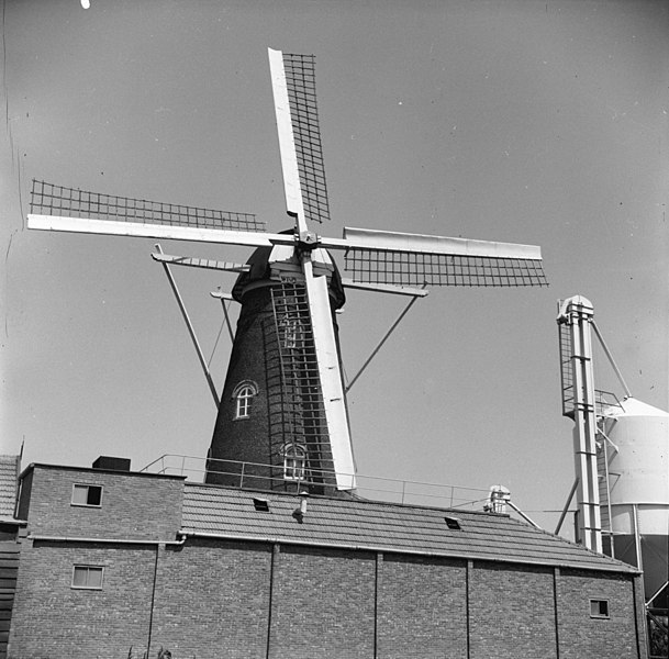 File:Overzicht molen met bijbehorende bedrijfsgebouwen - Hoek - 20404580 - RCE.jpg