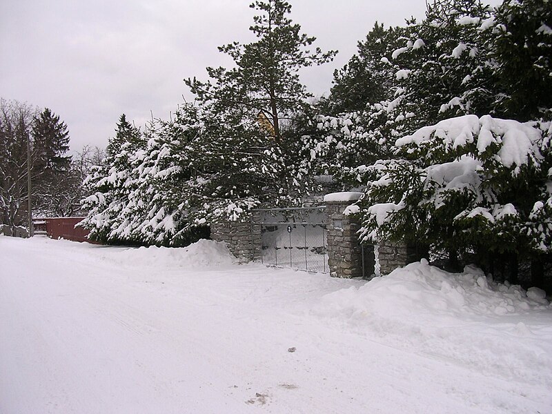 File:Põõsa tee, talvine - panoramio.jpg