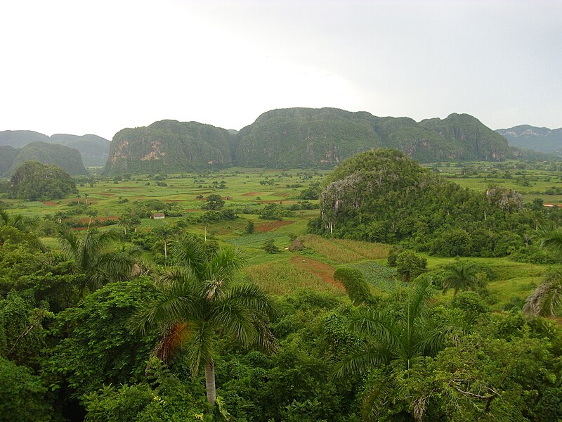 File:PAISAJE DE EL VALLE DE VIÑALES.jpg