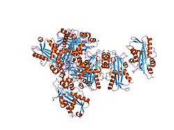 PDB 2j4e EBI.jpg