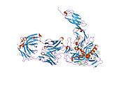 2ny5: HIV-1 gp120 Envelope Glycoprotein (M95W, W96C, I109C, T257S, V275C, S334A, S375W, Q428C, A433M) Complexed with CD4 and Antibody 17b