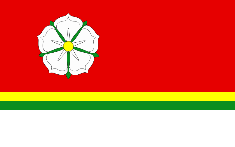 File:POL Zagórów flag.svg