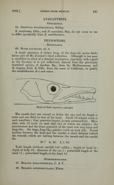 File:PZSL1889Page241.png