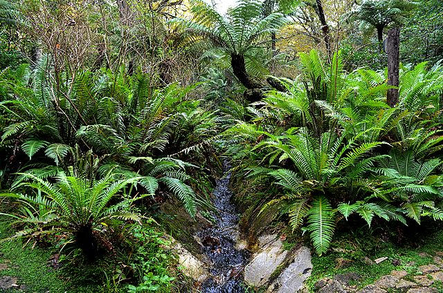 File:Parque_Natural_Sintra-Cascais8.JPG