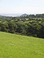 Pasture near Vellanoweth - geograph.org.uk - 914687.jpg