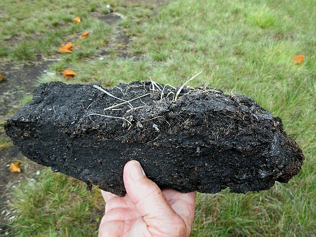 A lump of peat